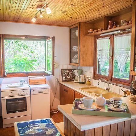 Estate Irene Villa Dedeağaç Dış mekan fotoğraf