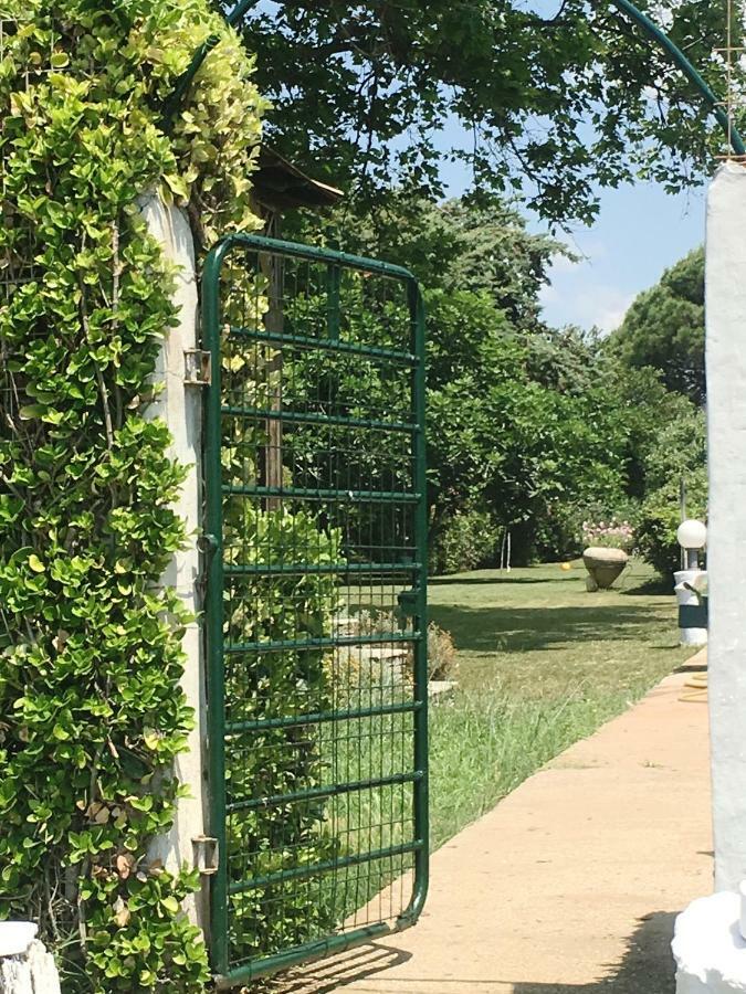 Estate Irene Villa Dedeağaç Dış mekan fotoğraf