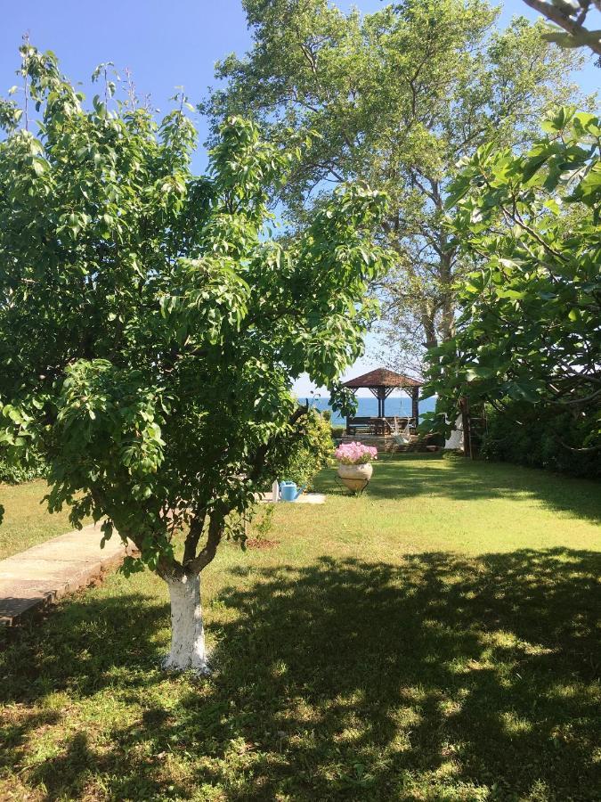 Estate Irene Villa Dedeağaç Dış mekan fotoğraf